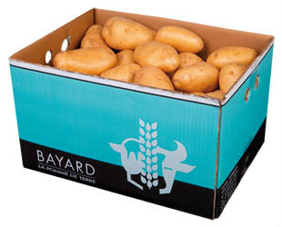 Brambory Vapeur Rouge 35/55 čerstvé 12,5 kg