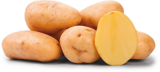 Brambory Agata 45/65 čerstvé 12,5 kg
