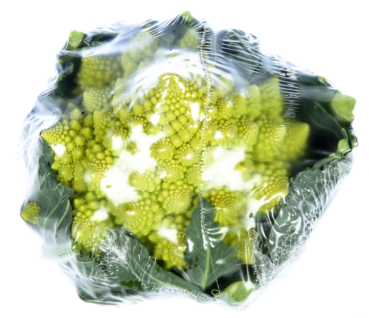 Květák fialový čerstvý 1 ks