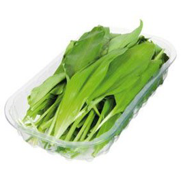 Česnek medvědí CZ čerstvý 100 g vanička