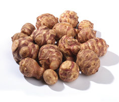 Topinambur čerstvý 1 kg vanička