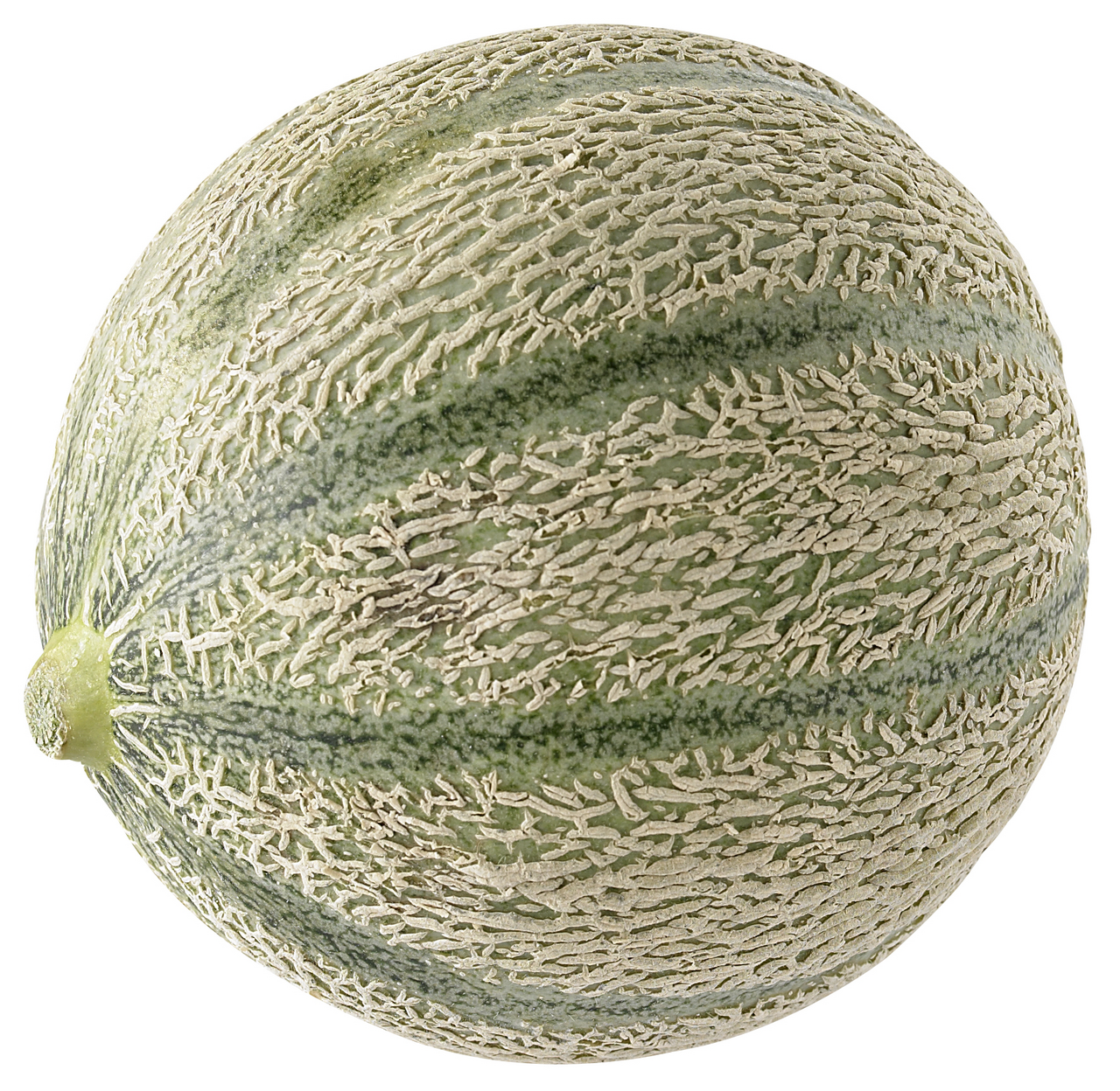 Meloun Charantaise 550/650 g+ čerstvý 1 ks