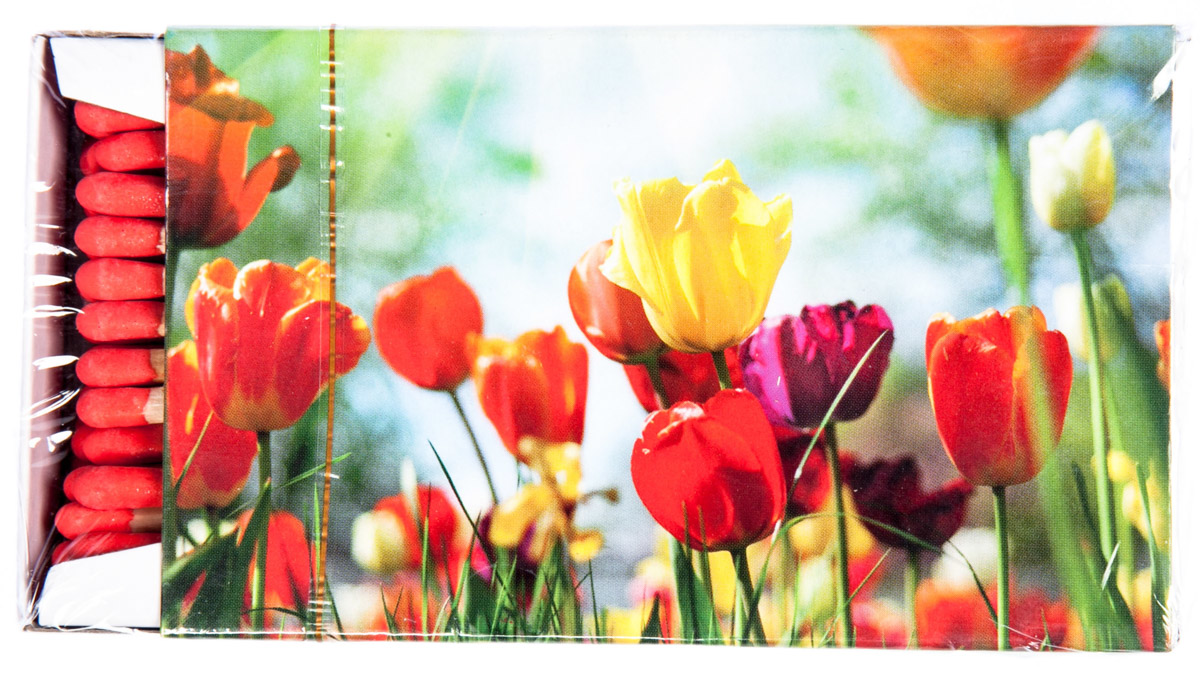 Zápalky Camino 10cm 1 ks