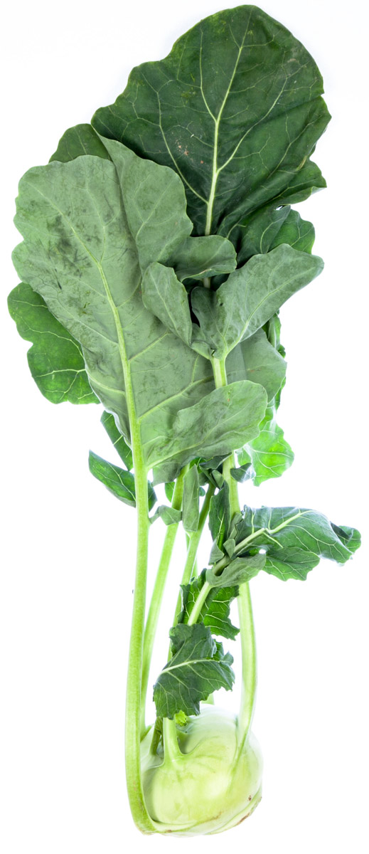 Kedlubna s natí 70+ SK čerstvá 1 ks