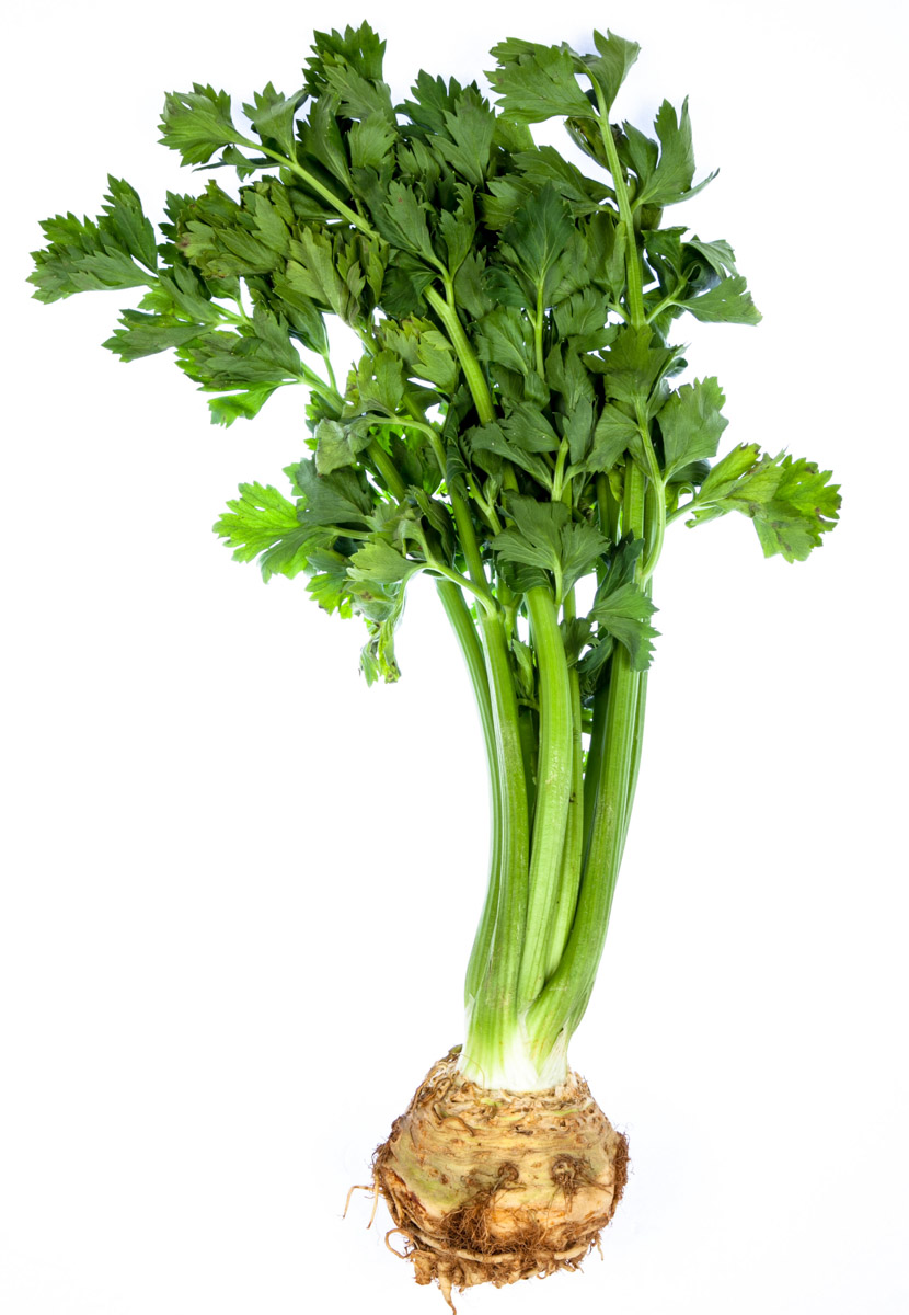 Celer s natí 80+ PT čerstvý 1 ks