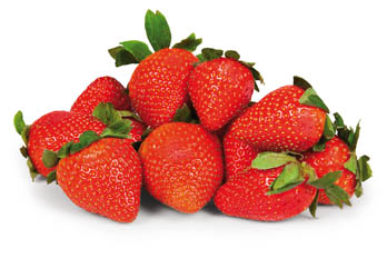 Jahody CZ čerstvé váž. 1x cca 1 kg vanička