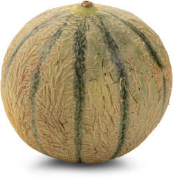METRO Chef Meloun Cantaloupe 800 g+ 1 ks