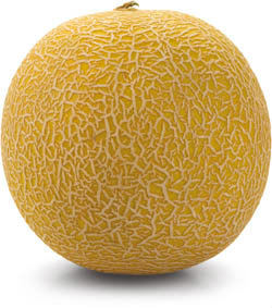 METRO Chef Meloun Galia 750g+ 1 ks