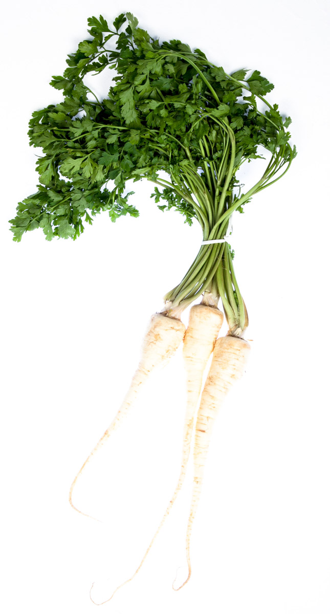 Petržel kořenová s natí 250+ CZ 1 ks