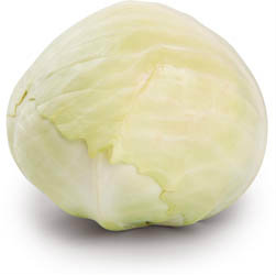 Zelí hlávkové bílé nové čerstvé váž. cca 15 kg