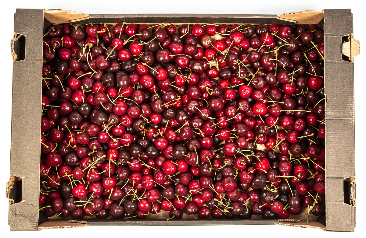 Třešně Kordie 26+ CZ čerstvé 5 kg bedna