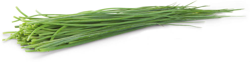 Pažitka čerstvá 100 g svazek