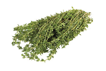 TYMIÁN SVAZEK 100G