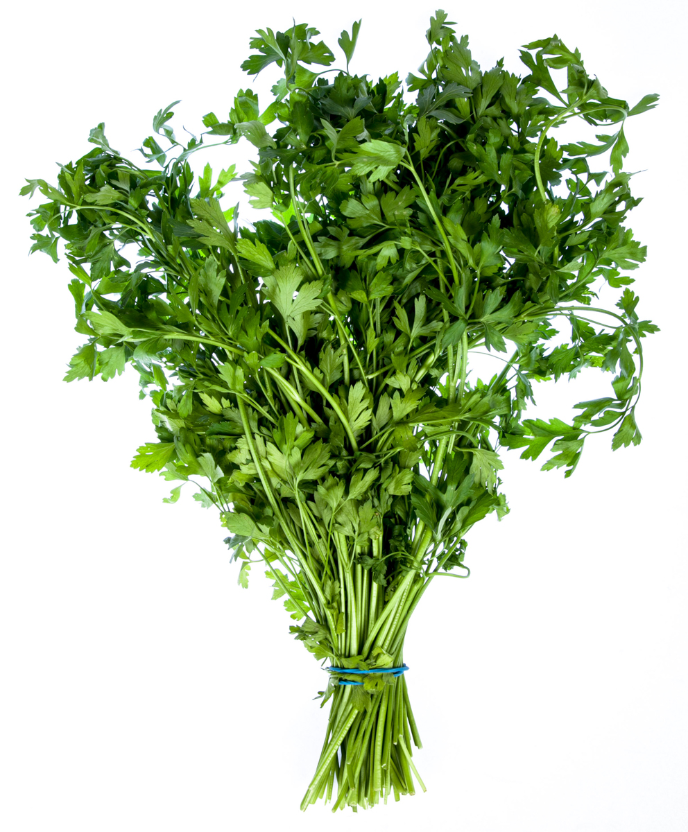 Koriandr čerstvý svazek 100 g