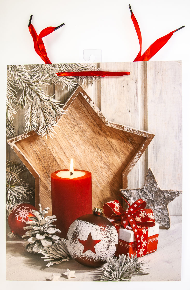 Flexio Taška dárková X-mas L 210270 1 ks