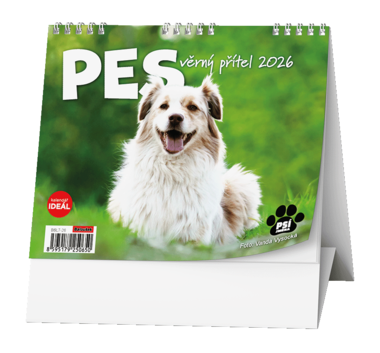 BALOUŠEK Kalendář stolní Ideál pes 1 ks