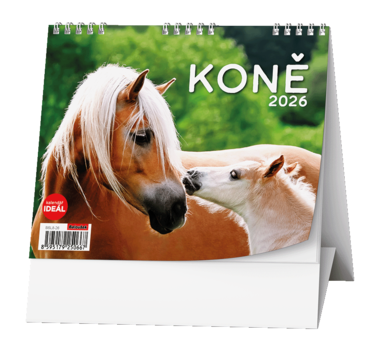 BALOUŠEK Kalendář stolní Ideál koně 1 ks