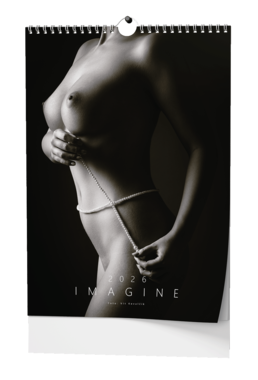 BALOUŠEK Kalendář nástěnný Imagine A3 1 ks