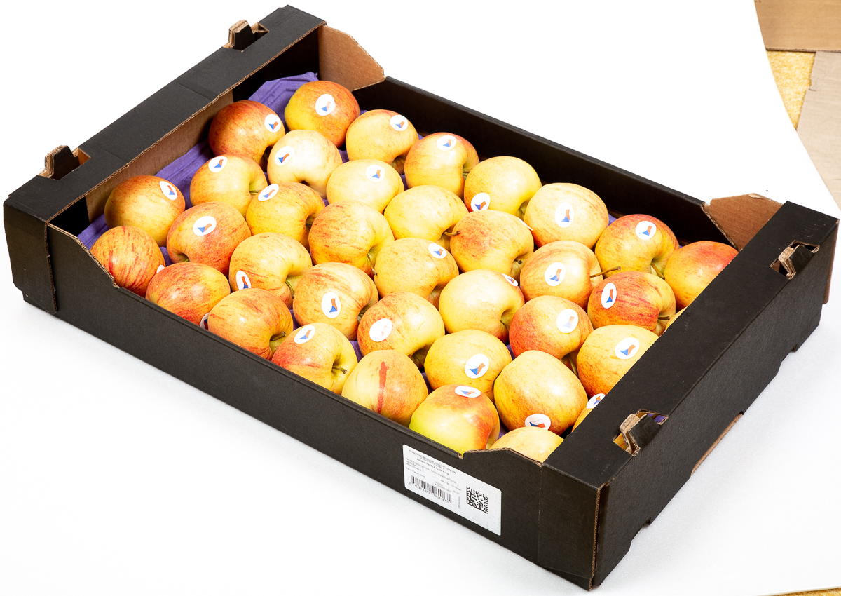 Jablka Gala 70+ I. CZ čerstvá 6 kg