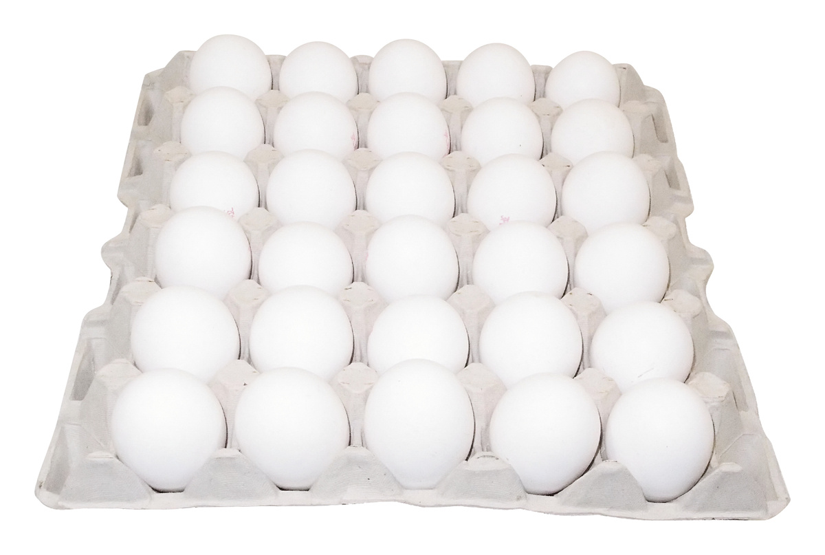 Vejce bílá čerstvá z podestýlky vel. M CZ chlaz. 30 ks