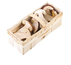 HOLOUBEK A PRAVNUCI Hřib smrkový krájený koš PL čerstvý 400 g