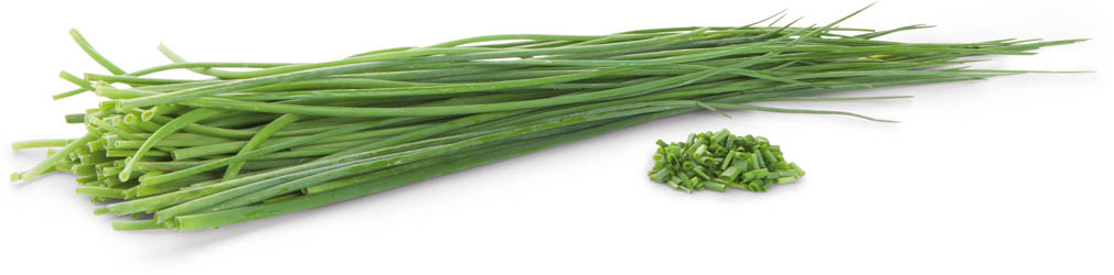 METRO Chef Pažitka čerstvá 500 g