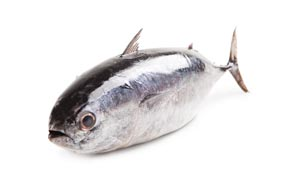 Tuňák žlutoploutvý s hlavou chlaz. váž. cca 1 kg