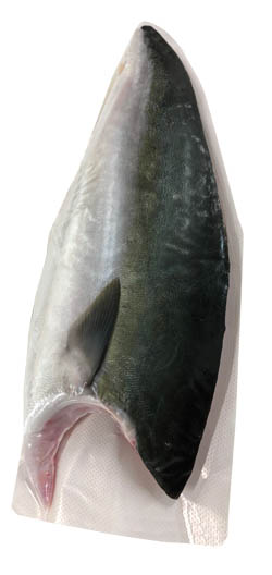 Kranas japonský filet Hamachi chlaz. váž. cca 1 kg