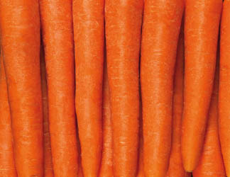 Mrkev čerstvá váž. cca 1 kg