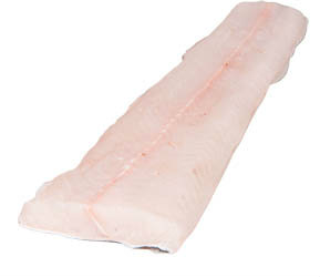 Úhoř mořský filet chlaz. váž. cca 100 - 400 g