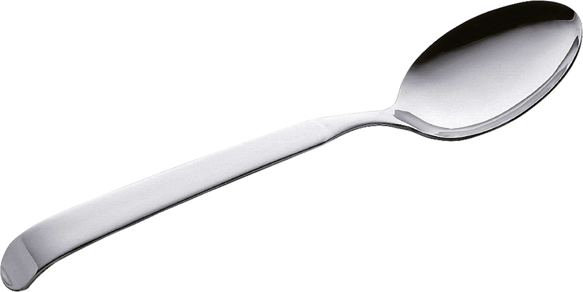 PINTINOX Lžíce servírovací Astra 20 cm 1 ks