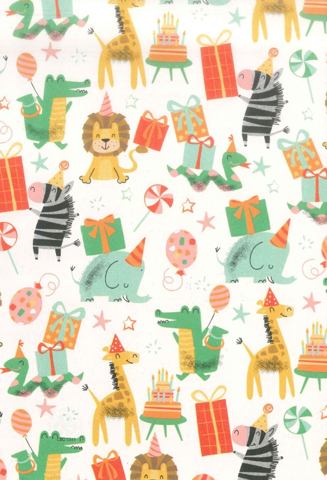 FLEXIO Papír balící 2 m x 0,7 m 220166 1 ks