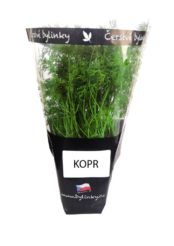 Kopr čerstvý 1 ks kelímek