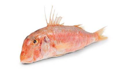 Parmice nachová nekuchaná chlaz. váž. cca 200 - 300 g