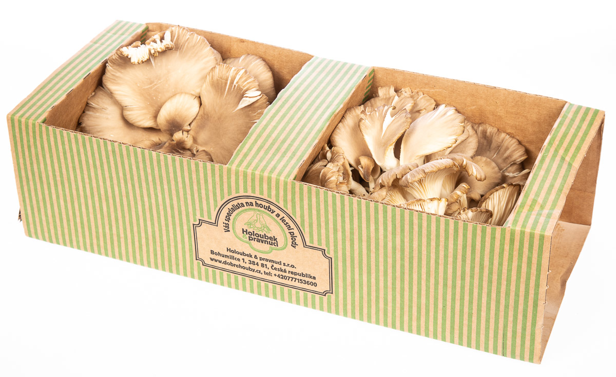 HOLOUBEK A PRAVNUCI Hlíva ústřičná CZ 400 g papír. koš