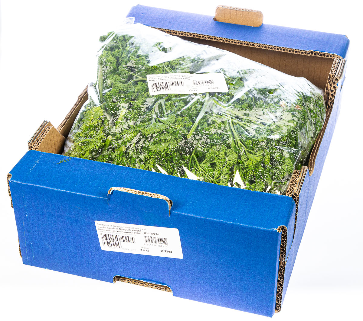 Petržel kadeřavá CZ 1 kg fólie