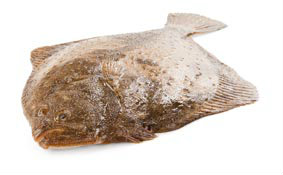 Kambala velká chlaz. váž. cca 1,5 - 2 kg