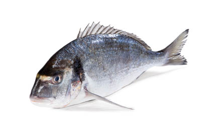 METRO Premium Pražma královská chorvatská ASC chlaz. váž. cca 1 - 1,5 kg