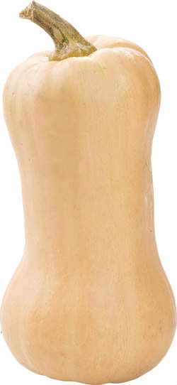 Dýně máslová čerstvá váž. cca 1 kg