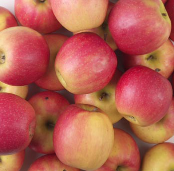 Jablka letní I. CZ čerstvá 13 kg