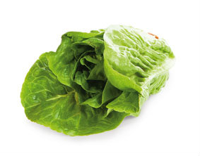 Salát Little Gem zelený I. CZ čerstvý 3 ks