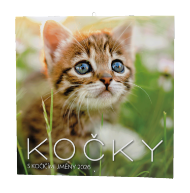 BALOUŠEK Kalendář nástěnný Kočky 1 ks
