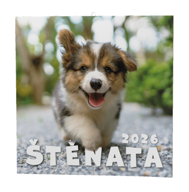 BALOUŠEK Kalendář nástěnný Štěňata 1 ks