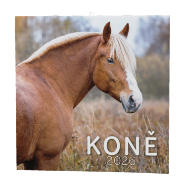 BALOUŠEK Kalendář nástěnný Koně 1 ks