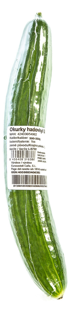 Okurka hadovka 300+ g čerstvá 1 ks