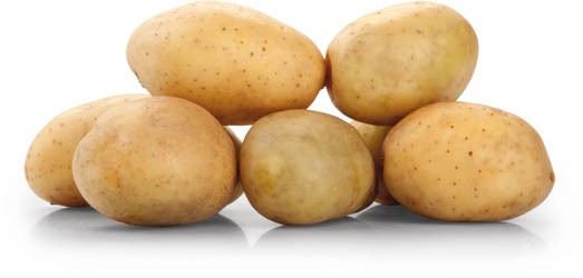 Brambory rané neprané CZ čerstvé 25 kg