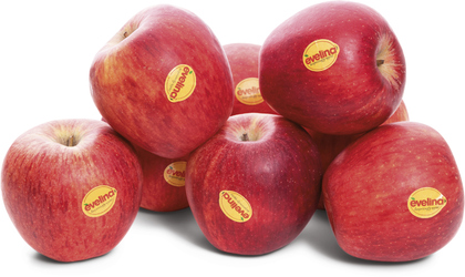 Jablka Evelina 75+ I. SK čerstvá 4 kg