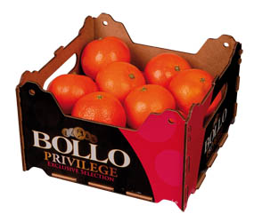 Mandarinky Clementine Bollo 2/3 I. čerstvé 1,5 kg dřevěná bedna