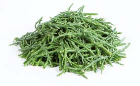 Salicorne Premier chlaz. 150 g