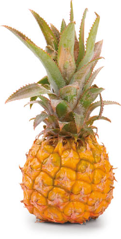 Ananas Baby Eat me MU čerstvý 1 ks